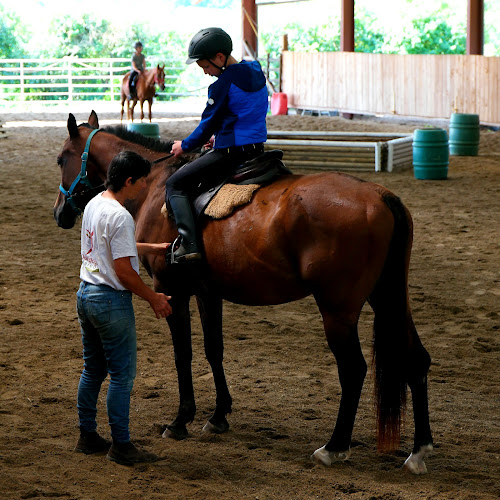 Centre Equestre Du Pays Beaumontois à Beaumontois-en-Périgord