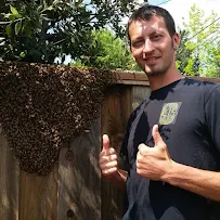 Bee Friendly Honey - Honey Bee Relocation & Pesticide Free Wasp Removal - Car repair in , Concord - Rated 4.4/5