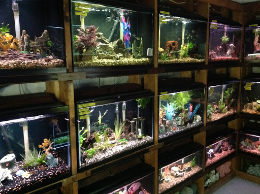 Tropical Fish Store «Marine Oasis», reviews and photos, 5340 W Ridge Rd, Spencerport, NY 14559, USA