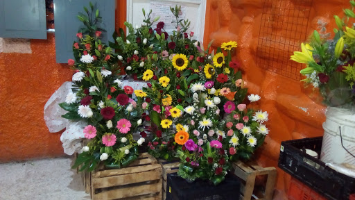 Floreria Azucena's