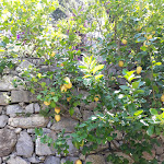 Photo n°1 de l'avis de Debra.r fait le 22/07/2019 à 12:06 sur le  Hotel Conca Park à Sorrento