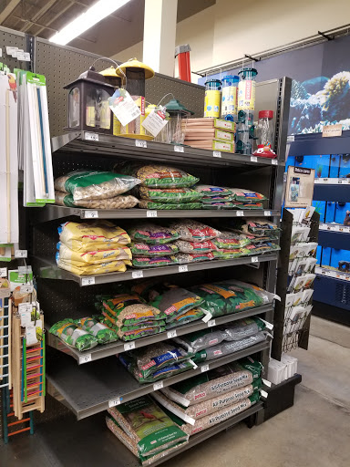 Pet Supply Store «Petco Animal Supplies», reviews and photos, 1945 W Palmetto St #250, Florence, SC 29501, USA