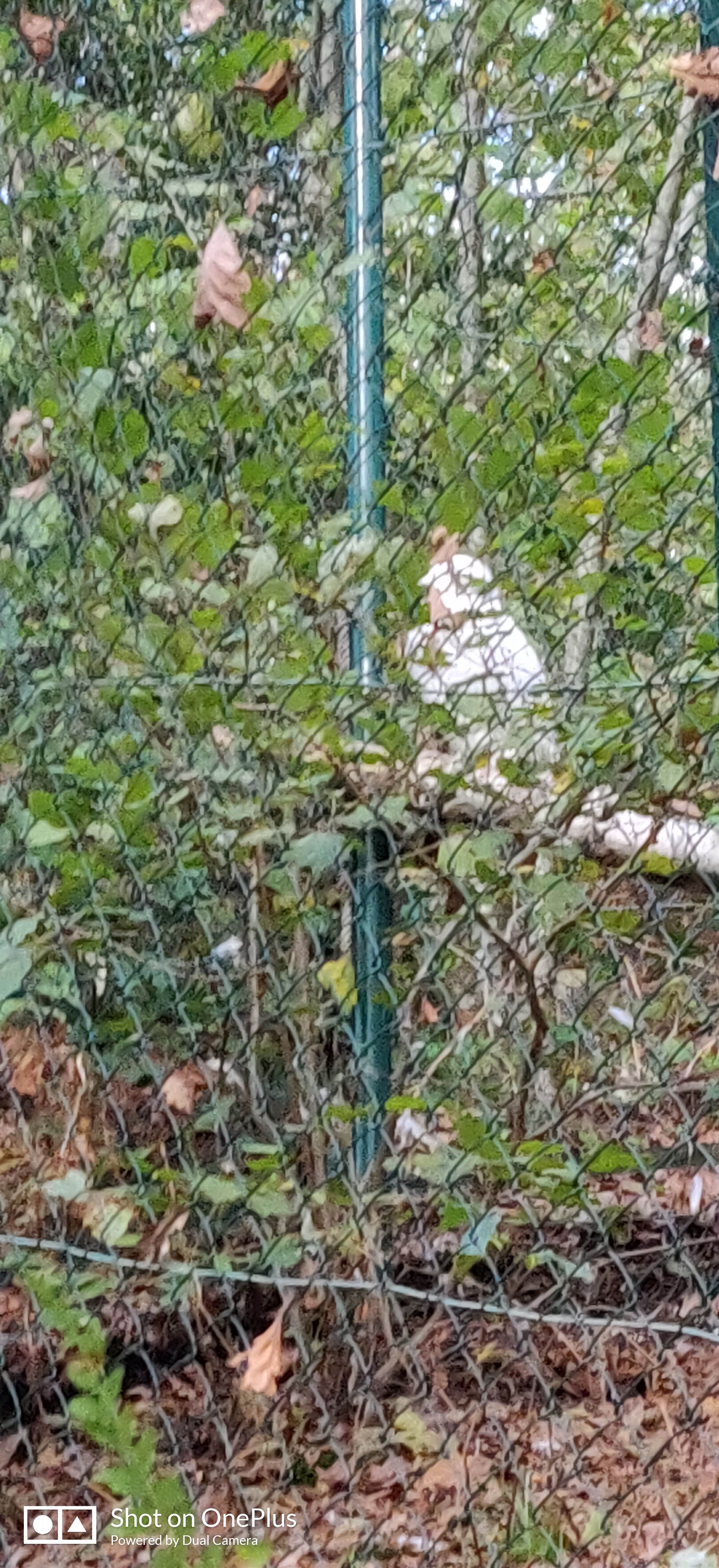 Photo n° 5 de l'avis de Jean-marc.e fait le 01/11/2022 à 19:36