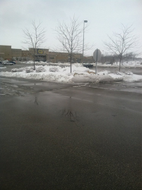 Geneva Landscapes and Maintenance llc. - Photo 8 - Car repair in Genoa City, WI, Round Lake Beach