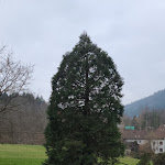 Photo n°32 de l'avis de Knut.o fait le 07/03/2023 à 18:04 sur le  Waldgaststätte Bütthof à Baden-Baden
