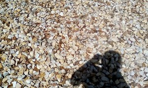 Creekwood Park - photo 44