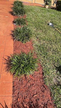 Benisa LLC - Photo 9 - Car repair in , Pembroke Pines