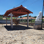 Photo n°11 de l'avis de Carla.i fait le 23/02/2019 à 23:47 sur le  Restaurante Chamosinhos à São Pedro Da Torre