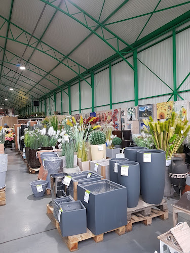 Koskowicka 12, 59-220 Legnica