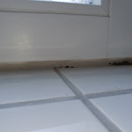 Photo n°4 de l'avis de Hans.i fait le 26/04/2022 à 21:17 sur le  Hotel Stadt Hameln à Hamelin