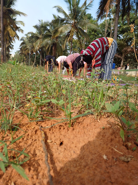 DPK YOGA CENTRE, photo 2