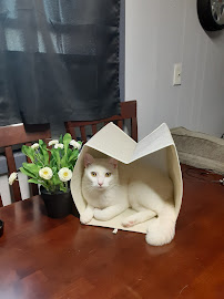 Pet Supermarket - Photo 4 - Car repair in North Fort Myers, FL, Cape Coral