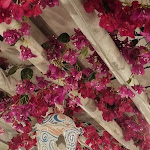 Photo n°7 de l'avis de Dominique.r fait le 23/08/2021 à 20:47 sur le  Capri Blu Pizzeria & Bistrot - Torre Annunziata à Torre Annunziata