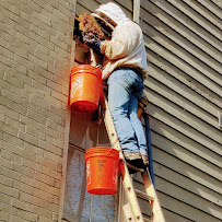 Houston Bee Removal - Photo 2 - Car repair in , Houston