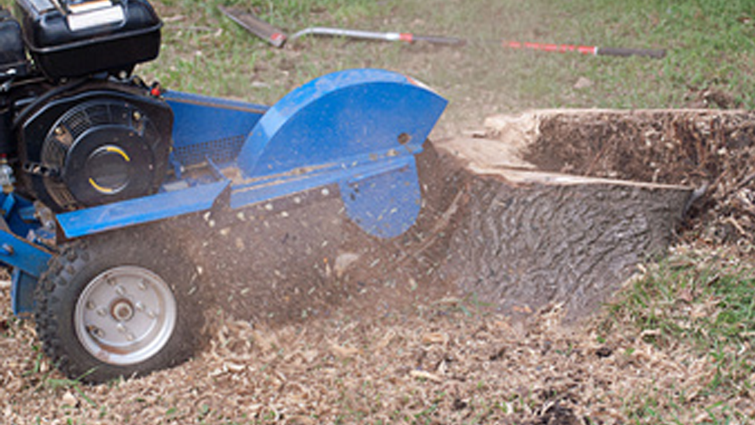Stump Grinders