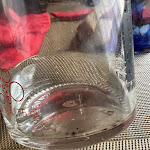 Photo n°1 de l'avis de Rino.a fait le 27/04/2024 à 05:52 sur le  Le Mani in Pasta à Genoa