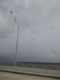 All Furry Friends Pet Sitting - Photo 3 - Car repair in , Jacksonville