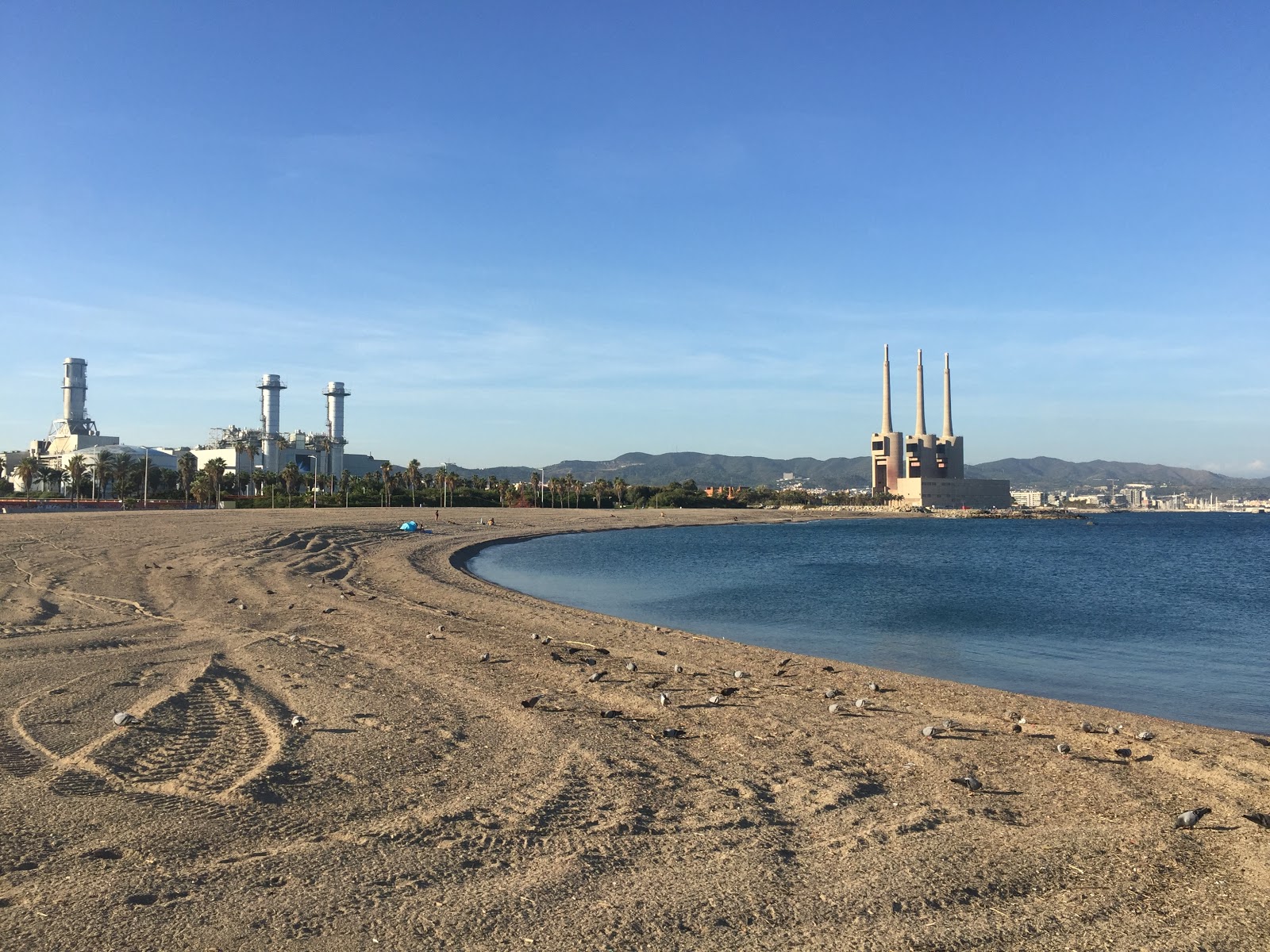 Photo de Platja del Forum avec un niveau de propreté de très propre