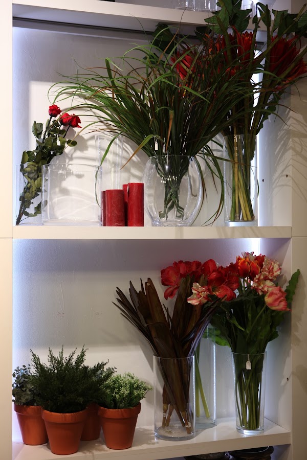 Imagen de Floristería Lloveras (2 de 7)