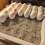 Photo n°8 de l'avis de Philippe.a fait le 11/04/2023 à 06:29 sur le  Holiday Inn Express Saarbrücken, an IHG Hotel à Saarbrücken