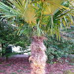 Photo n°1 de l'avis de Anette.c fait le 13/09/2020 à 19:46 sur le  Schwarzrinderseen Weindorf Weinstrand à Weiskirchen