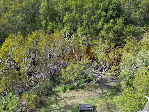 Non-Profit Organization «Sanibel-Captiva Conservation Foundation», reviews and photos, 3333 Sanibel Captiva Rd, Sanibel, FL 33957, USA