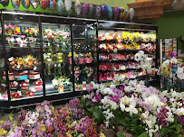 Vallarta Supermarkets - Photo 4 - Car repair in Santa Maria, CA, Santa Maria