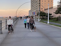 Lucky Pup and Co. - Photo 8 - Car repair in , Virginia Beach