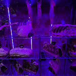 Photo n°2 de l'avis de Guido.a fait le 08/12/2023 à 19:40 sur le  Restaurant Olive Osnabrück à Osnabrück