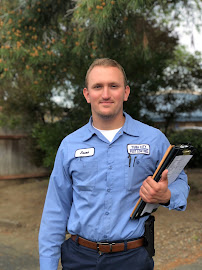 Yuba City Pest Control - Photo 3 - Car repair in Yuba City, CA, Yuba City