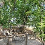 Photo n°8 de l'avis de Nicole.e fait le 05/08/2022 à 18:52 sur le  Biergarten am Kulmberghaus à Unterwellenborn