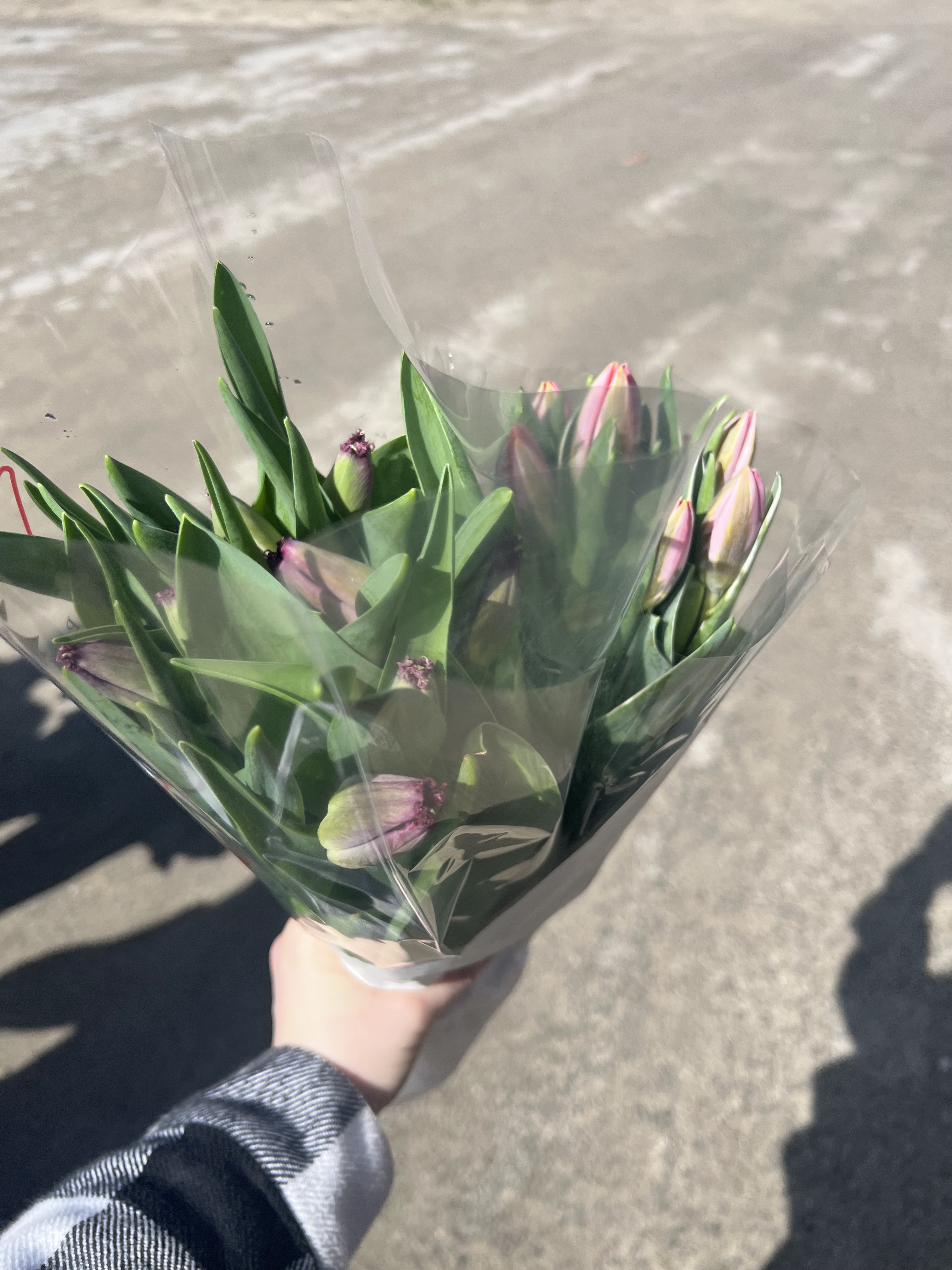 Photo n° 3 de l'avis de Camille. fait le 24/03/2024 à 18:29