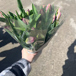 Photo n° 3 de l'avis de Camille. fait le 24/03/2024 à 18:29 pour Kaandorp à Plomeur