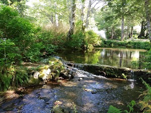 Deer Mountain Hatchery - photo 4
