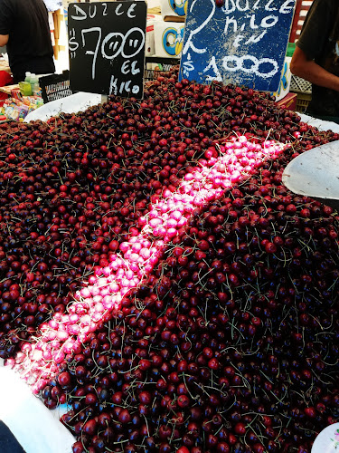 Feria libre Aldunate (Jueves y domingos) - Quinta Normal