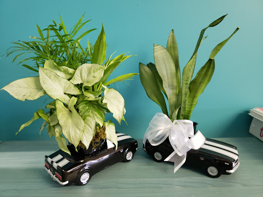 Florist «Blissful Blooms Floral», reviews and photos, 17 East Ave, Monroe, OH 45050, USA