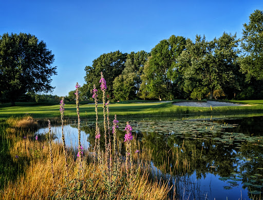 Golf Driving Range «Patriot Golf Course», reviews and photos, 200 Springs Rd, Bedford, MA 01730, USA