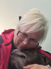 Doggie Doody Pet Sitting Service - Photo 8 - Car repair in , Joliet