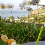 Photo n°5 de l'avis de Paola.a fait le 14/07/2019 à 11:47 sur le  Hotel Ravesi à Malfa