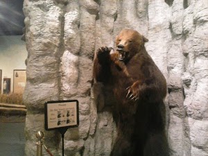 Montana Historical Society - photo 34