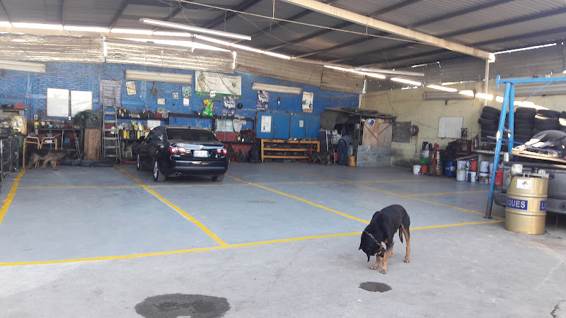 Automotriz Collazo