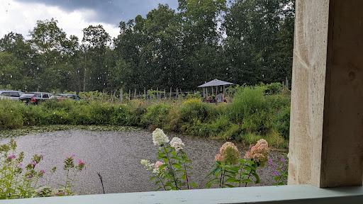 Winery «Bashakill Vineyards», reviews and photos, 1131 S Rd, Wurtsboro, NY 12790, USA