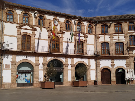 AYUNTAMIENTO DE ARCHIDONA