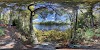 George Washington Wildlife Management Area