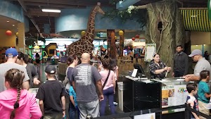 The Jungle Island - photo 75