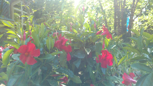 Pond Supply Store «Waterford Gardens», reviews and photos, 74 E Allendale Rd, Saddle River, NJ 07458, USA