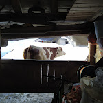 Photo n°5 de l'avis de Francesca.e fait le 28/12/2019 à 18:37 sur le  Malga Misurina à Auronzo di Cadore