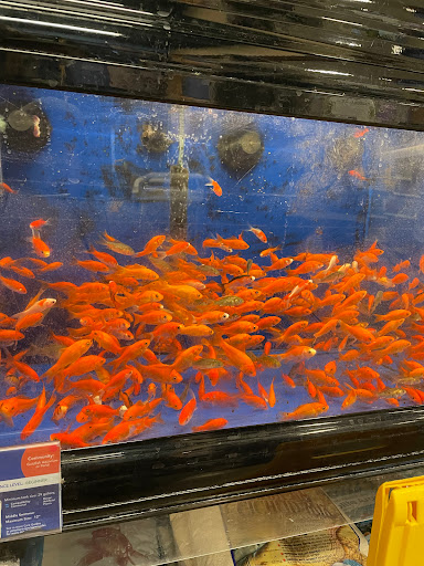 Pet Supply Store «PetSmart», reviews and photos, 5450 Crossings Dr, Rocklin, CA 95650, USA