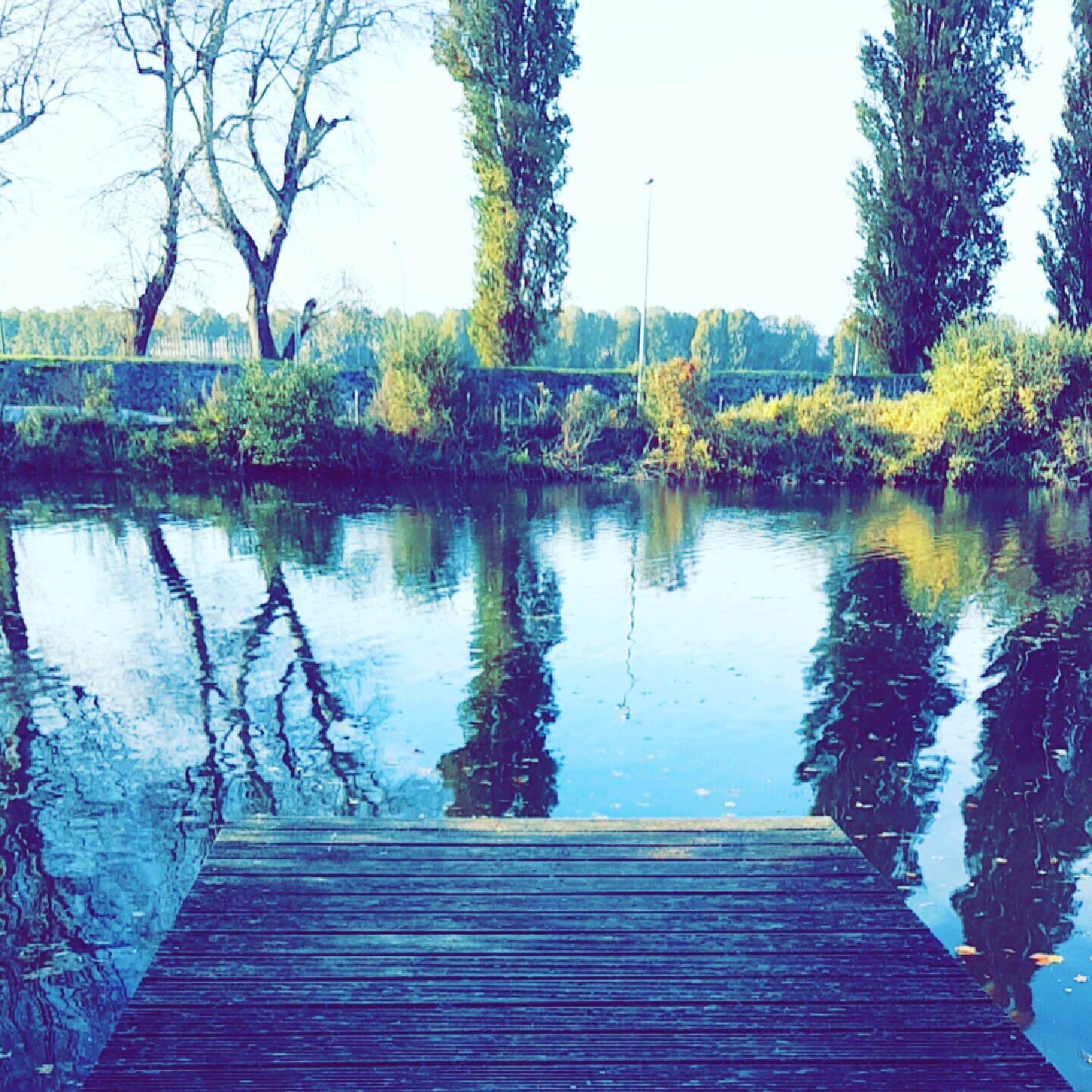 Photo n° 2 de l'avis de ASMAH.L fait le 08/11/2016 à 16:33
