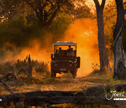 Jewel of Africa Safaris photo